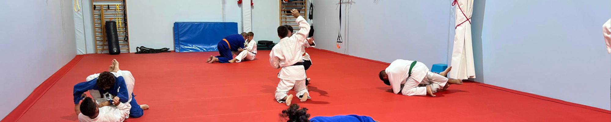 clases de judo en malaga